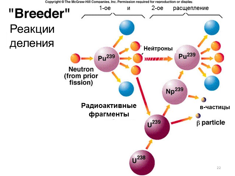 Нейтроны в-частицы Радиоактивные фрагменты  1-ое        